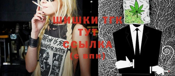 стаф Балахна