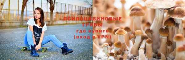 эйфоретик Беломорск