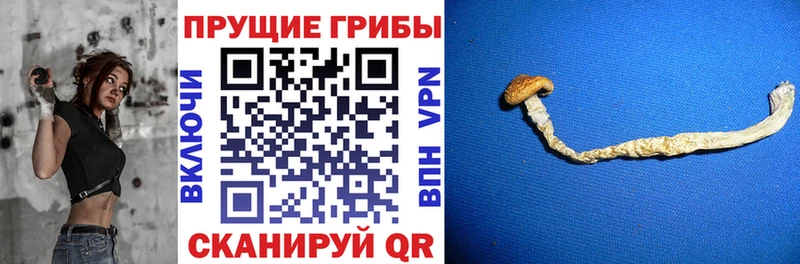 Галлюциногенные грибы Cubensis  Валуйки 